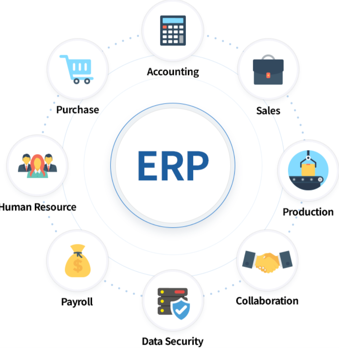 (ERP) software