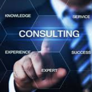 Consulting Service